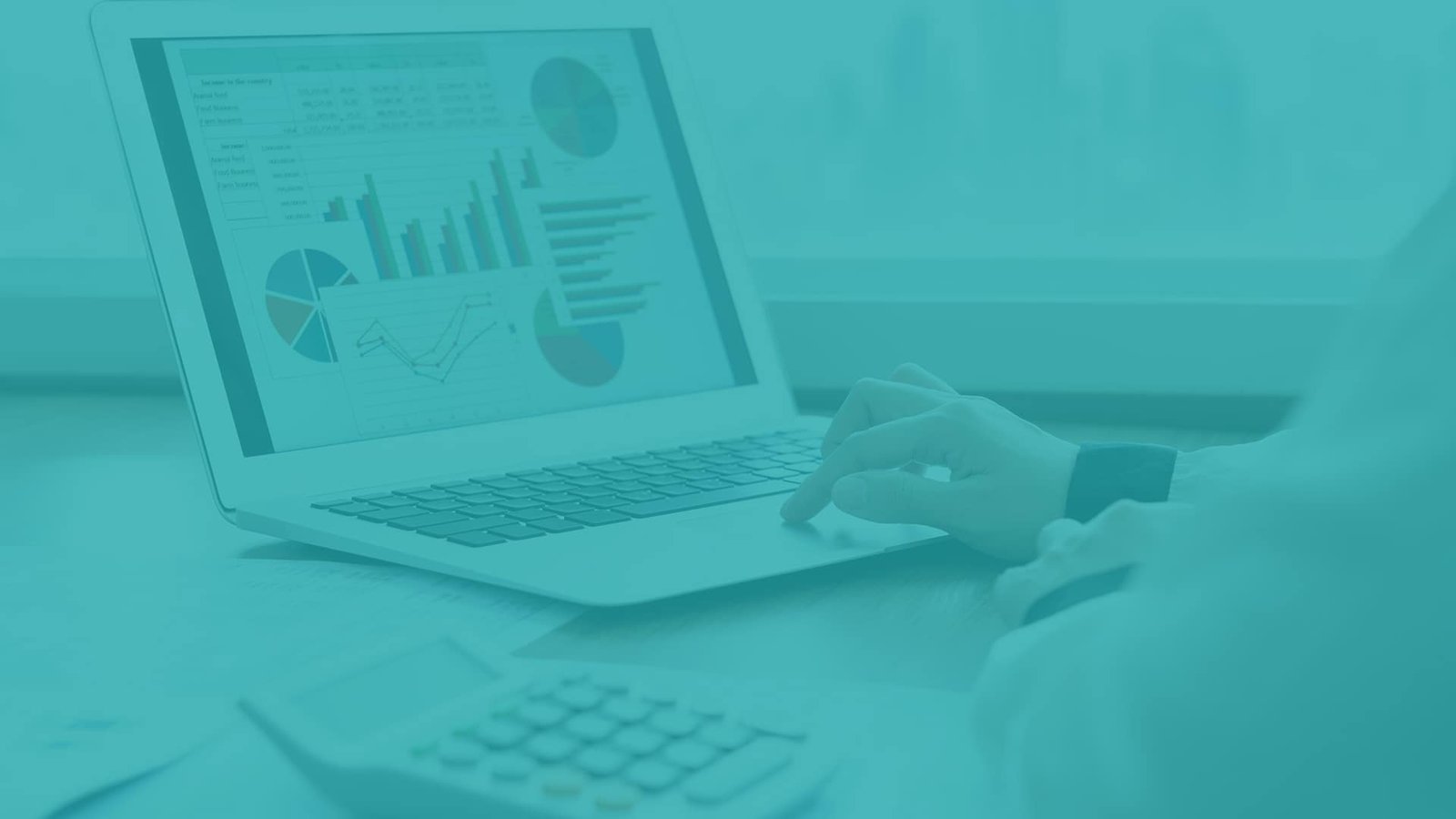 SCOPE OF CONSULTANT